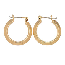Load image into Gallery viewer, Edge Hoop Ear Sense Earrings