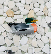 Load image into Gallery viewer, JUMBO MALLARD DUCK HAIR CLAW CLIPS
