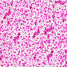 Load image into Gallery viewer, Chunky Confetti Glitter Gel - Neon Pink
