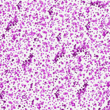 Load image into Gallery viewer, Chunky Confetti Glitter Gel - Neon Purple
