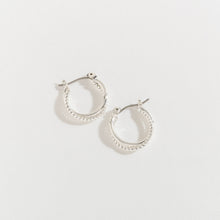 Load image into Gallery viewer, Double Hoop Earrings
